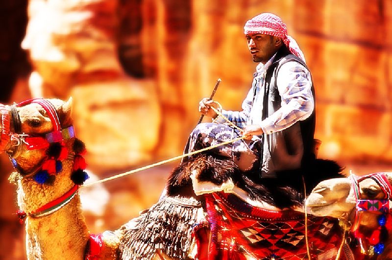 Файл:Beduin Camel.jpg